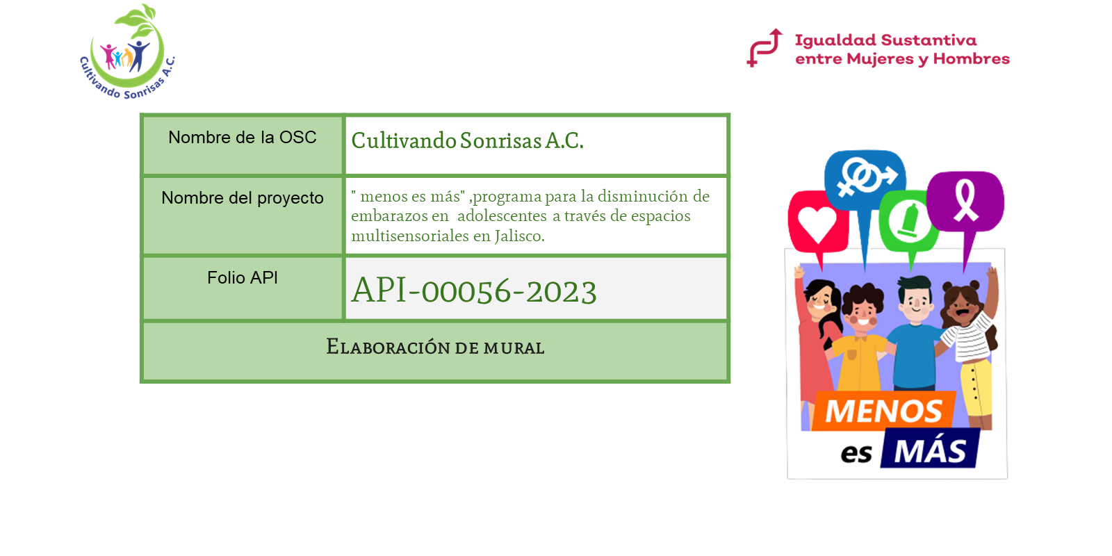 Elaboración de Mural Preventivo - Etapa 1