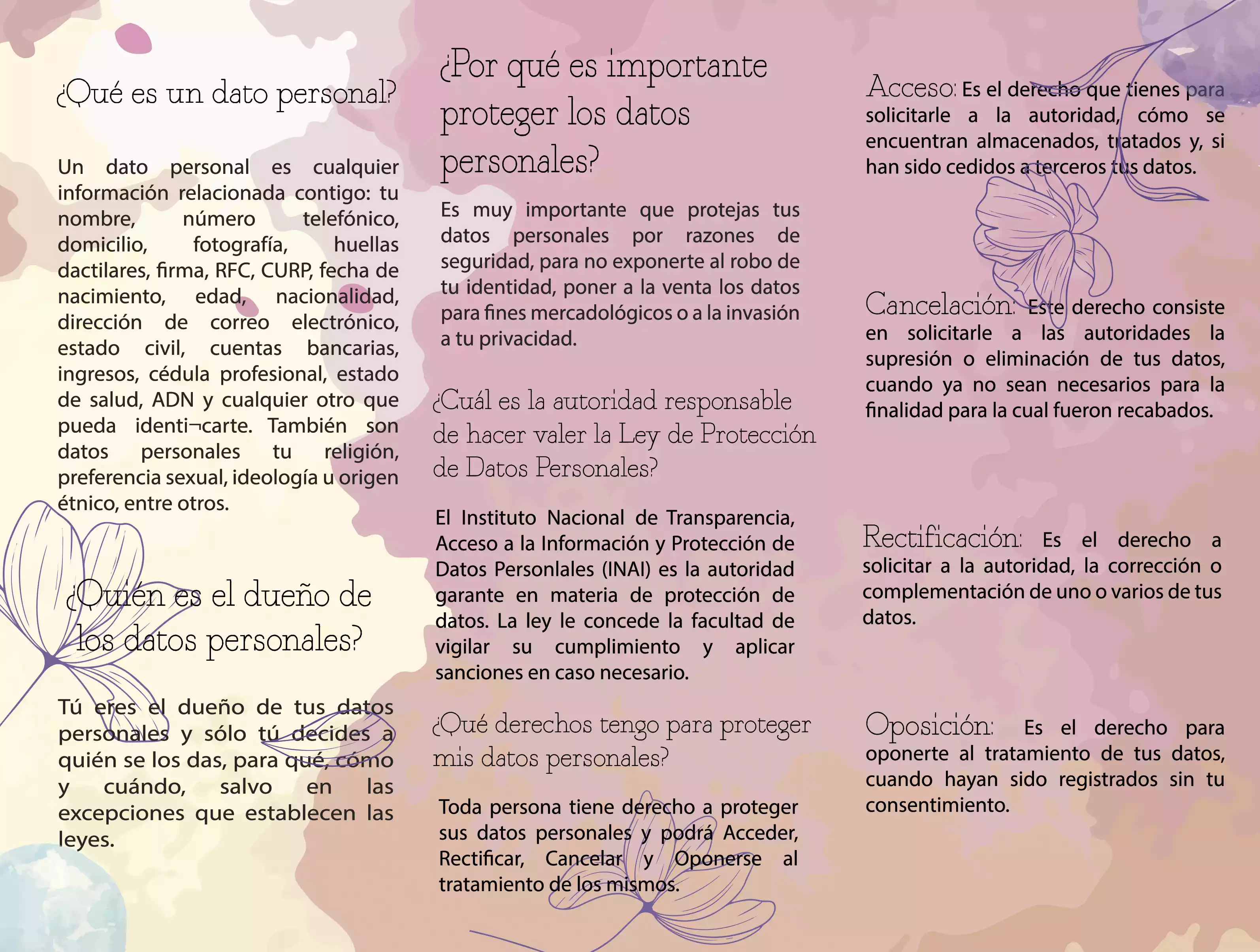 Tríptico Adultas — Vuelta