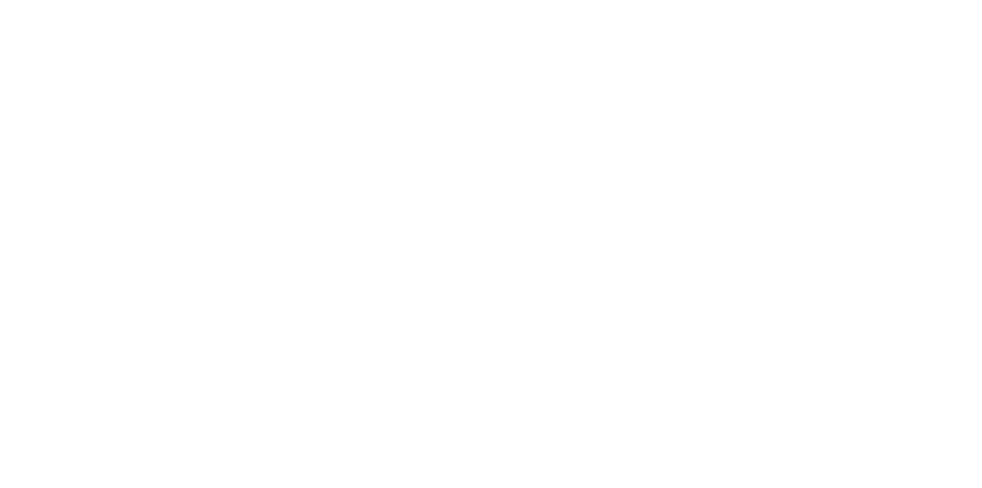 INAI